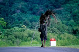 Carrying-on-the-head;-Comoros-Archipelago;-Daily-life;-France;-Indian-Ocean;-Kaleidos;-Kaleidos-images;-La-parole-à-limage;-Laurent-Abad;-Man;-Mayotte;-National-road;-Palm-fronds;-Road-marker;-Stories-Pictures